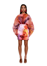Andrea Iyamah dress